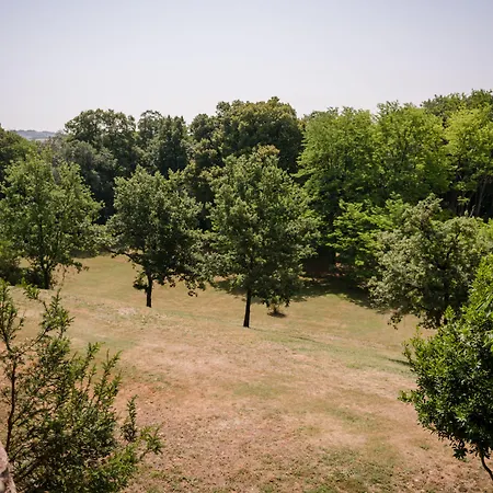 Chateau De L'hers Bed & Breakfast Salles-sur-l'Hers