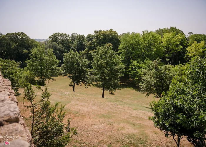 Chateau De L'hers Bed & Breakfast Salles-sur-l'Hers