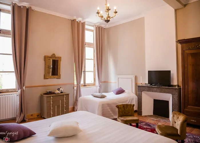 Bed & Breakfast Chateau De L'hers Salles-sur-l'Hers